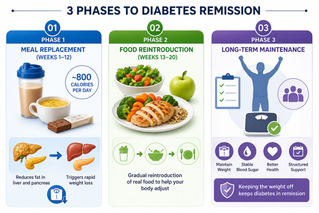 type 2 diabetes medications infographic showing 3 phases: meal replacement phase with shakes and low calories, food reintroduction with healthy meals, and long-term maintenance with weight control and support